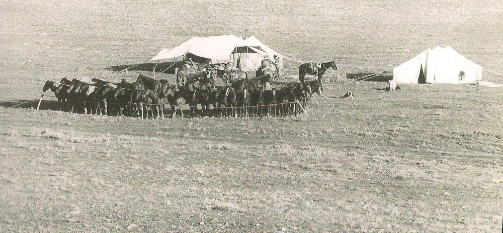 The S Ranch camp wagon and horses on the prairie