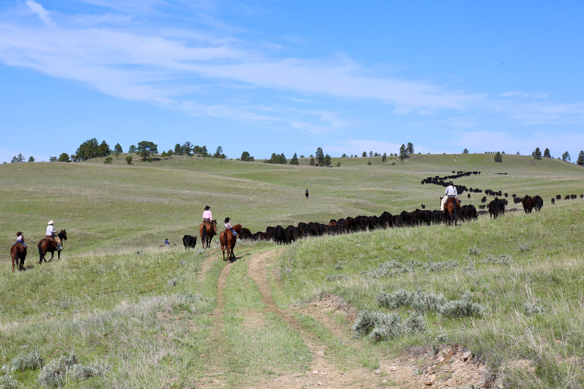 Montana Grass-Fed Grain-Finished Beef | S Ranch Meats