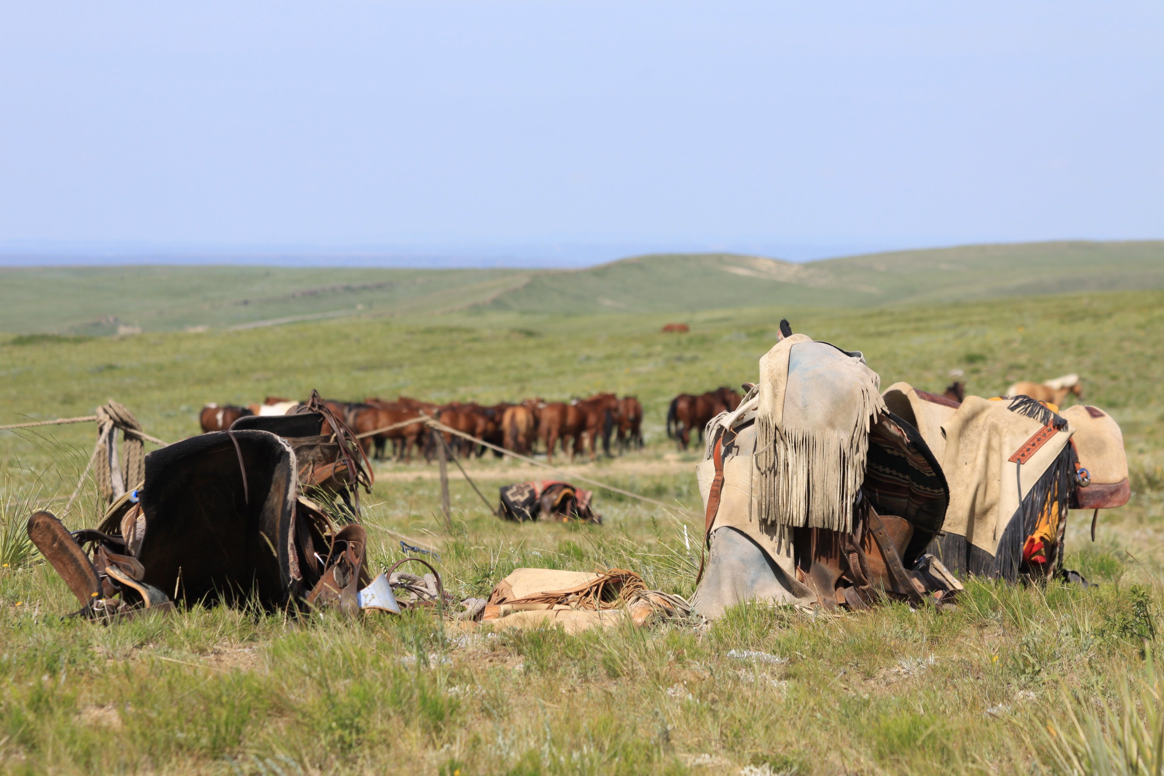 About Us – S Ranch Meats