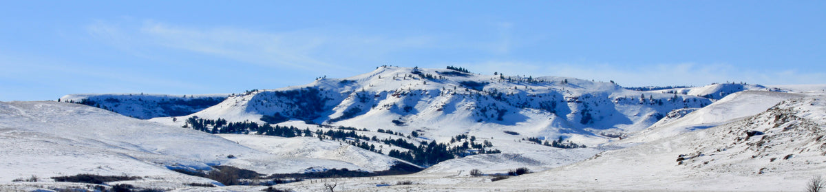 Snow on the ranch in January