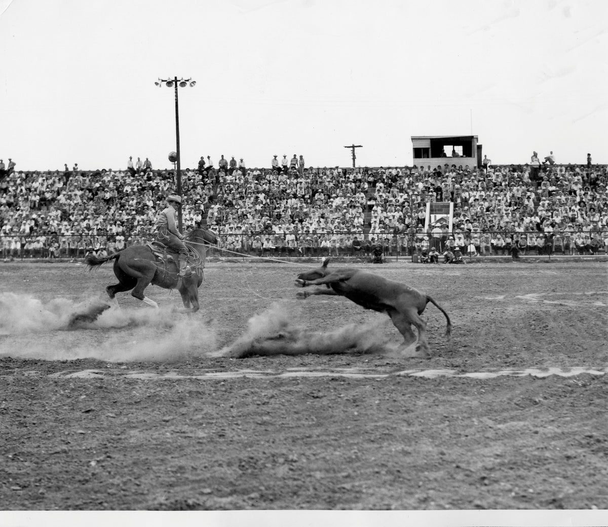 John Scott competing in the rodeo arena