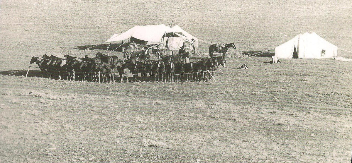 The S Ranch camp: wagon, tent and horses